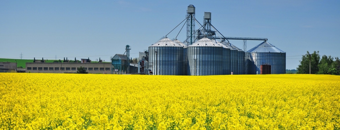 16_canola-grain-storage-28-1170-450-100 AgVisory Valuation and Consulting for your AgriBusiness - AgVisory